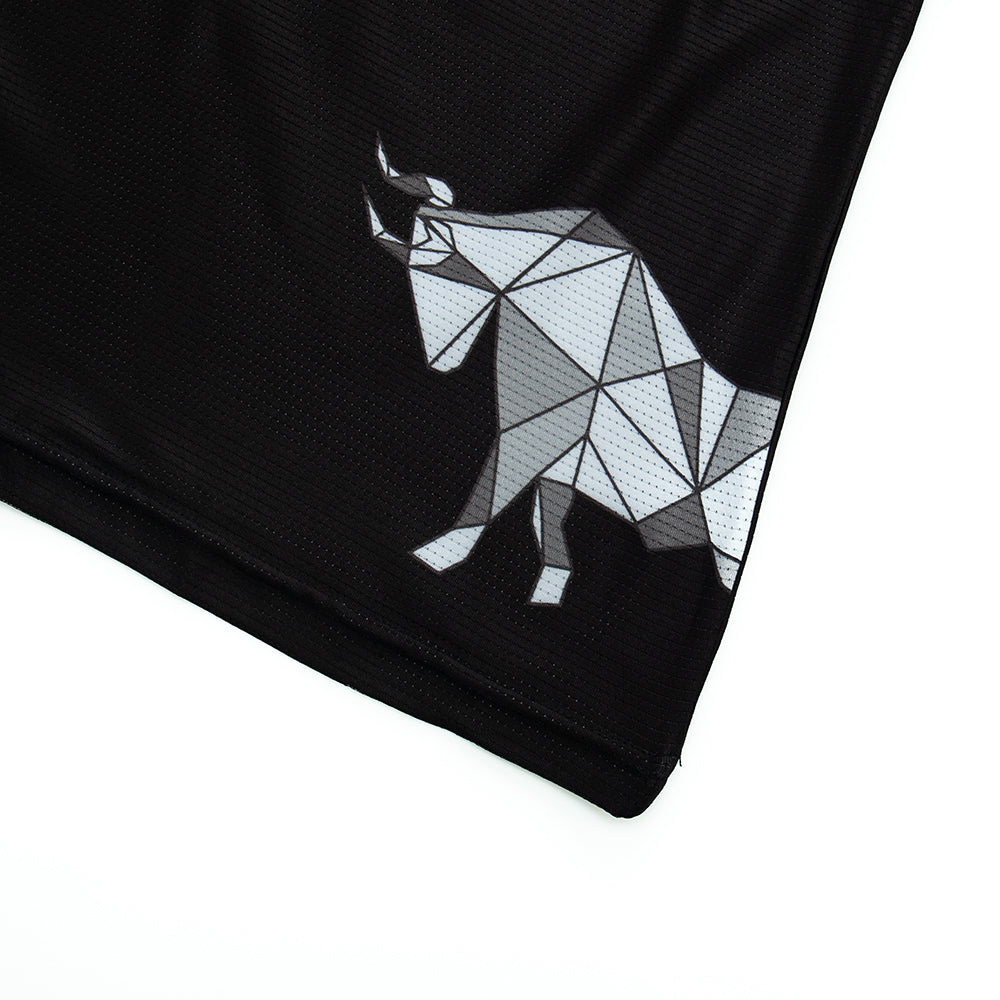 Camiseta Cross Training técnica THE BULL varios colores - Rx Heavy