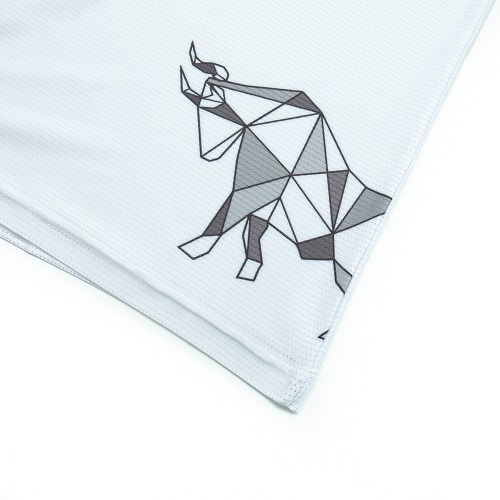 Camiseta Cross Training técnica THE BULL varios colores - Rx Heavy