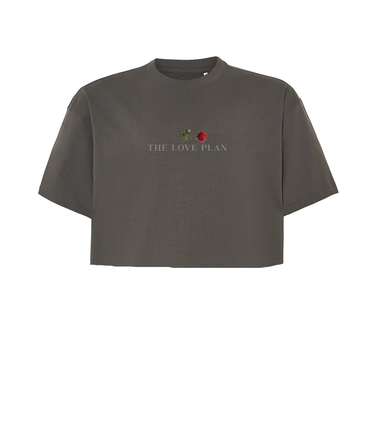 Crop oversize - The love Plan